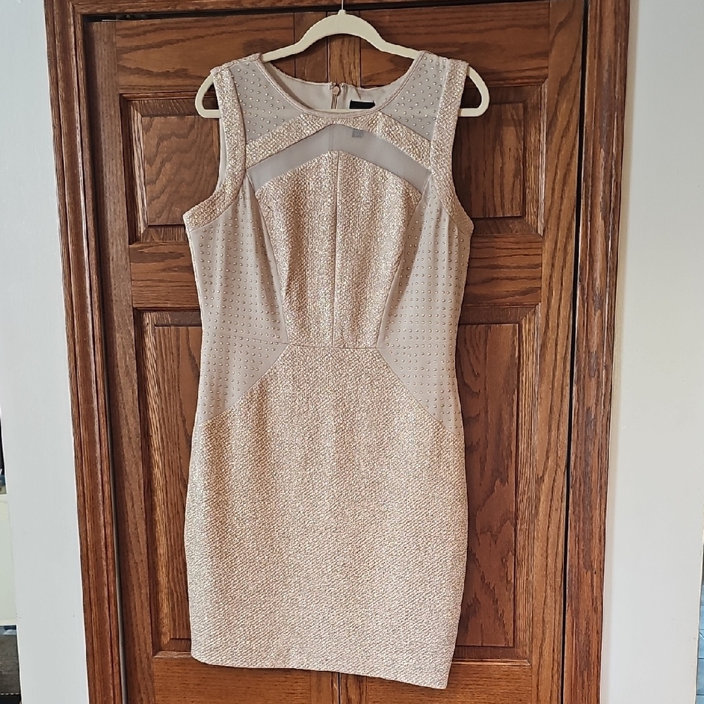 Tan Gold Sleeveless Sheath Mini Dress